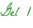 Gel 1